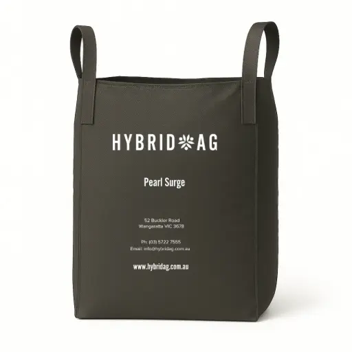 Pearl Surge